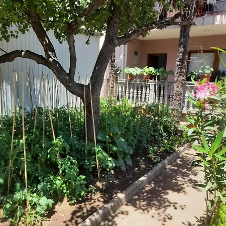 Casa de hóspedes Avdic 2*